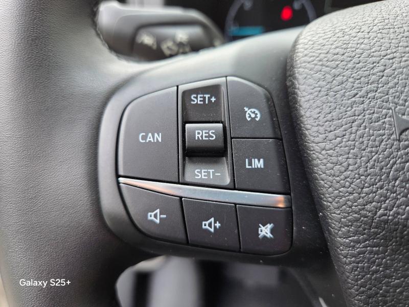 Image FORD Transit 2T Fg T350 L2H2 2.0 EcoBlue 170ch S&S Trail