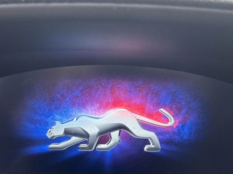 Image FORD Puma 1.0 EcoBoost 125 ch S&S mHEV ST-Line X Powershift