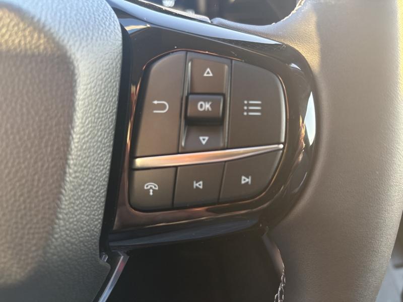 Image FORD Puma 1.0 EcoBoost Hybrid 125ch Titanium Business S&S Powershift